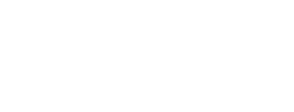 SASFIN